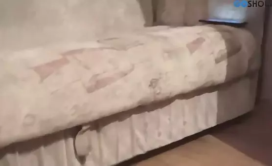Crossdressing Trans Fetishist Unleashes Penis, Enjoys DildoLaden Anal Play